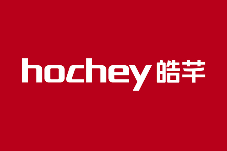 VI設計中的標志承擔的關鍵功能有哪些？